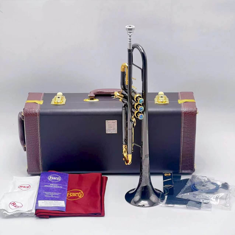 트럼펫 스트라디바리우스 37주년 기념 실버 트럼펫 파이 - Musical Instrument Bugle 리뷰 및 가격