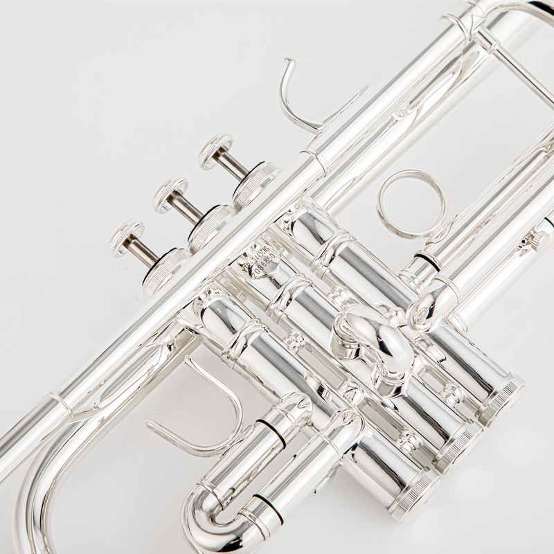 A 플랫 황동 실버 도금 트럼펫 악기, 가죽 케이스 포 - Musical Instrument Bugle 리뷰 및 가격