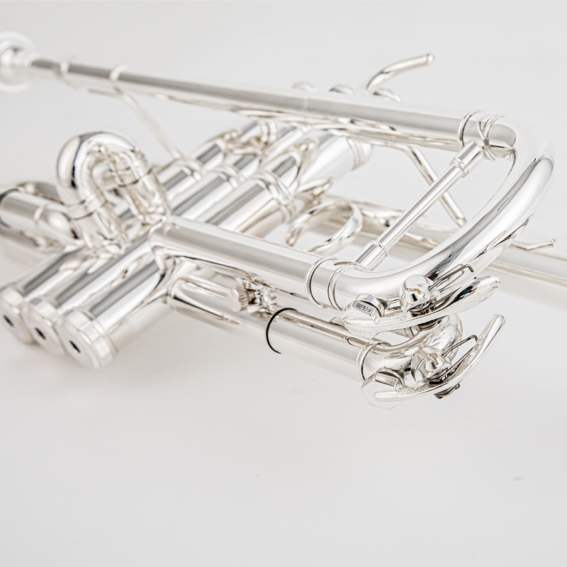 A 플랫 황동 실버 도금 트럼펫 악기, 가죽 케이스 포 - Musical Instrument Bugle 리뷰 및 가격