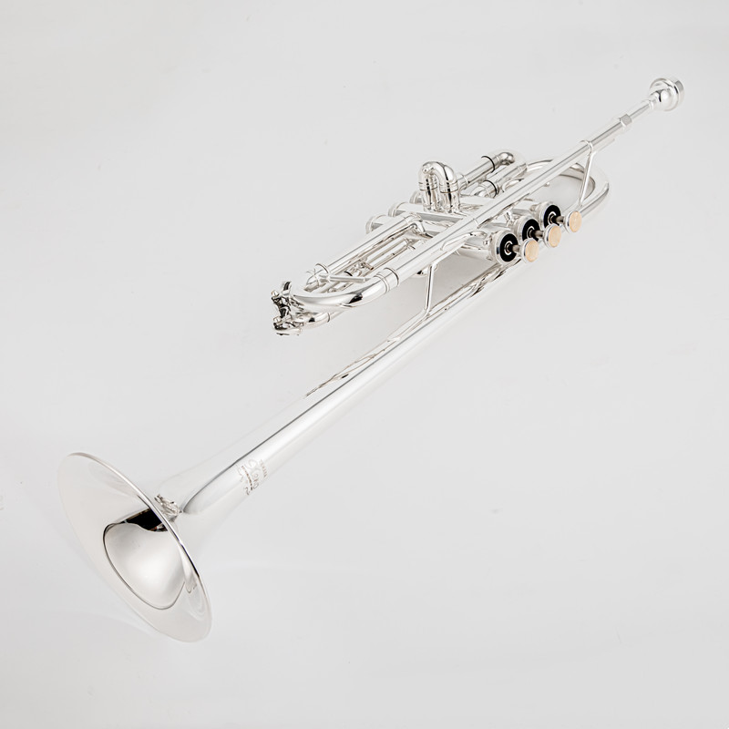 A 플랫 황동 실버 도금 트럼펫 악기, 가죽 케이스 포 - Musical Instrument Bugle 리뷰 및 가격